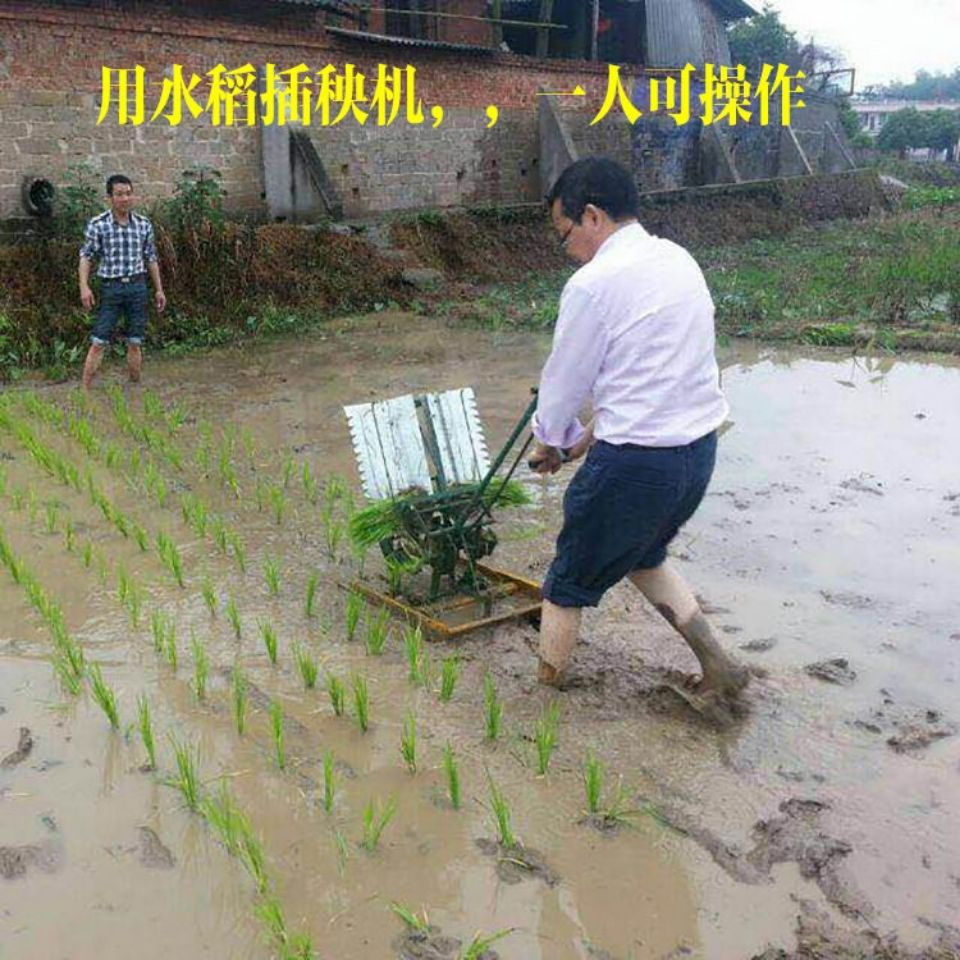 Rice transplanter Hand-cranked - Agriculture Farming Rice 리뷰 및 가격