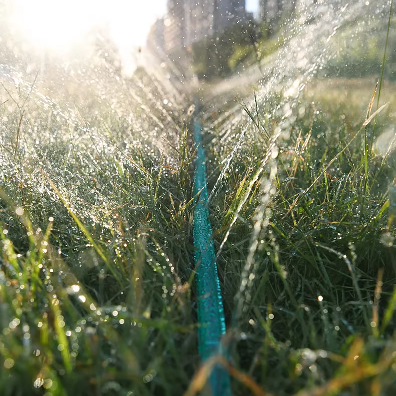3/4.5/7.5/10/15M Porous Soaker - Irrigation Drip Tape 리뷰 및 가격