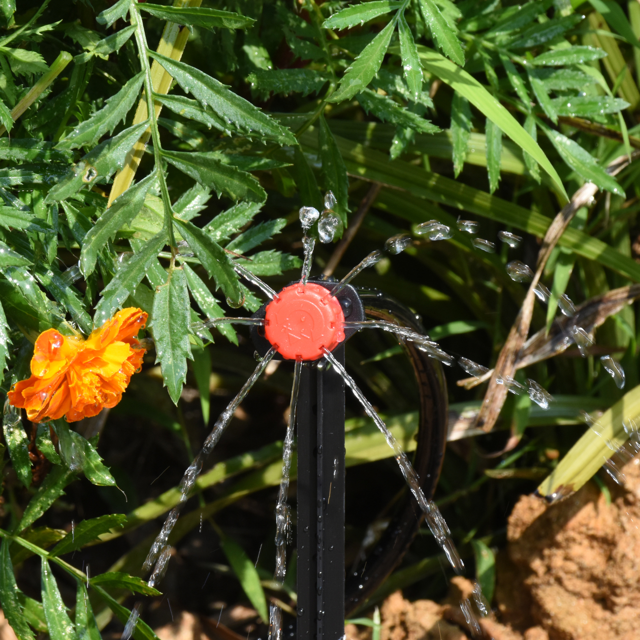 KESLA 30-800X Garden Drip Irri - Irrigation Drip Tape 리뷰 및 가격