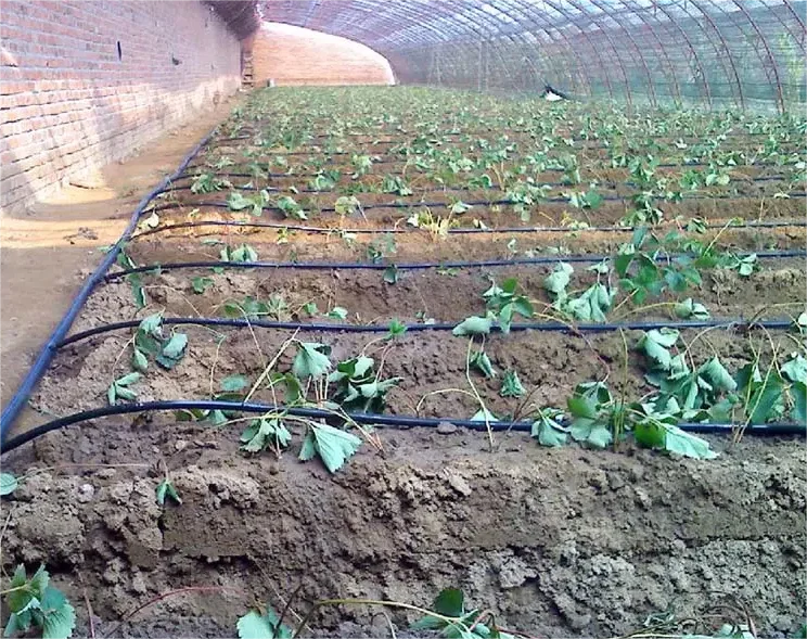 1HA Irrigation Kit Agricultura - Agriculture Farming Kit 리뷰 및 가격