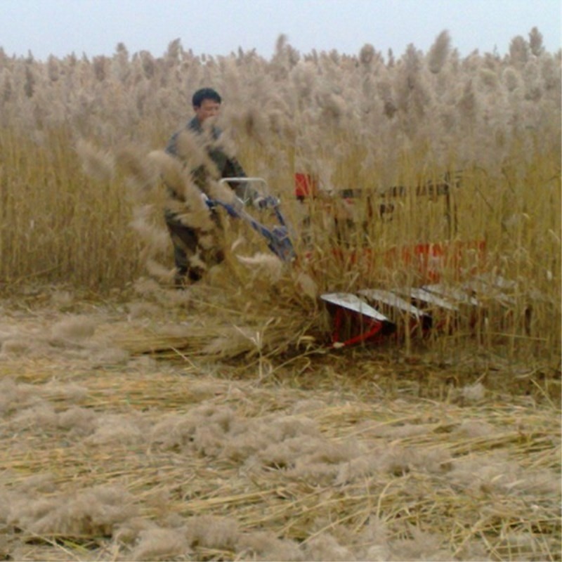 Farm Equipment Small Handy Agr - Agriculture Farming Rice 리뷰 및 가격