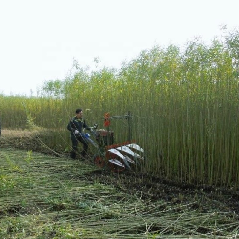 Farm Equipment Small Handy Agr - Agriculture Farming Rice 리뷰 및 가격