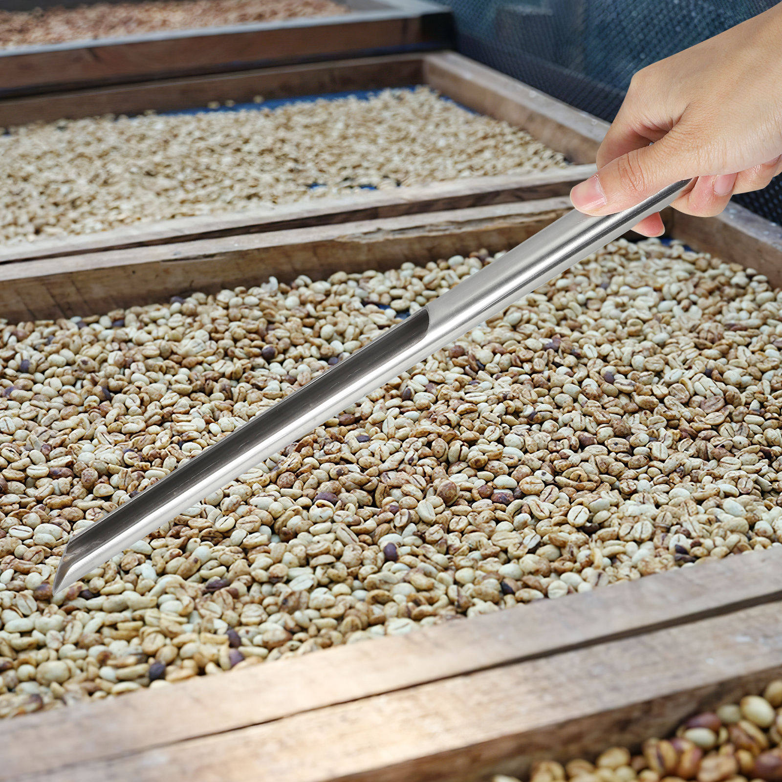 Stainless Steel Wheat Sampler  - Agriculture Farming Rice 리뷰 및 가격