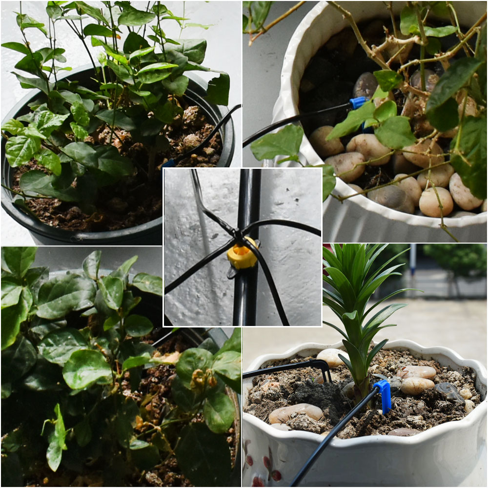 Greenhouse Potted Curved Arrow - Irrigation Drip Tape 리뷰 및 가격