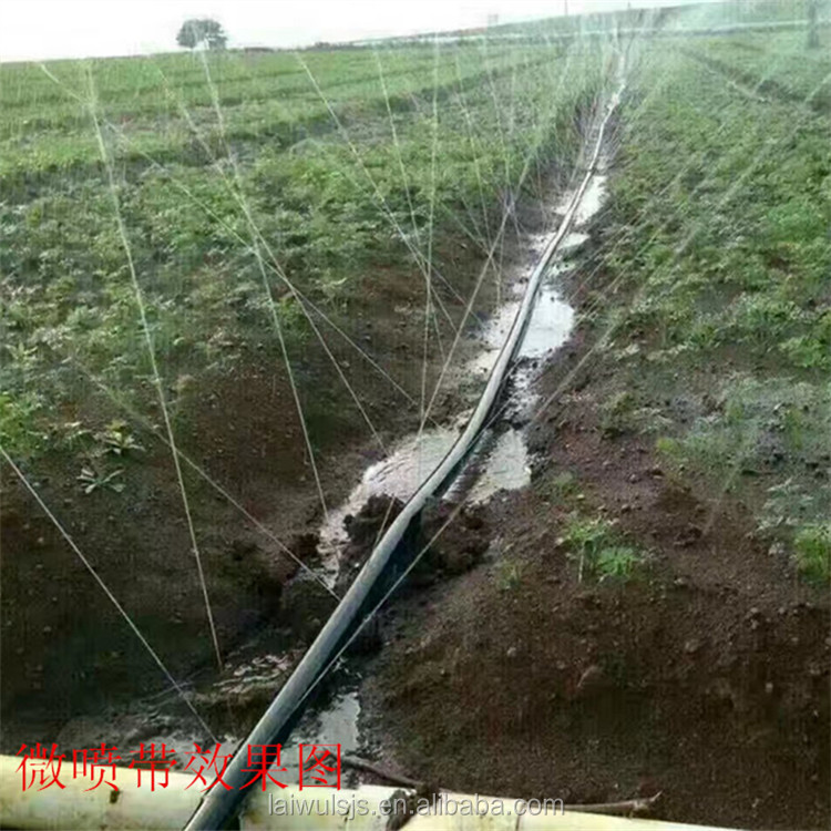 16mm PE Drip Tape Irrigation K - Irrigation Drip Tape 리뷰 및 가격